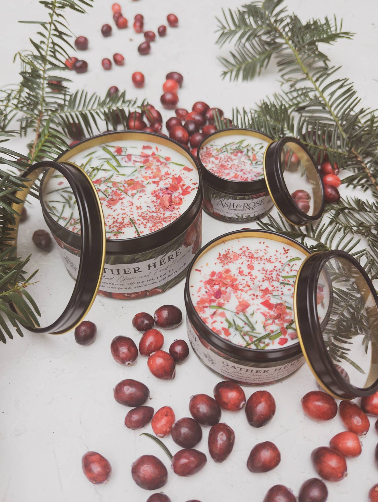 Cranberry Pine SoyCandle 4 oz