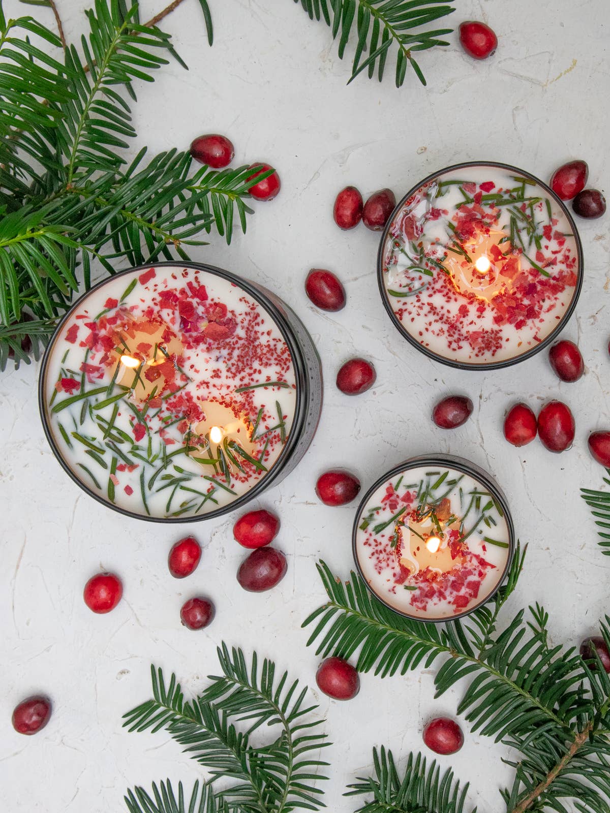 Cranberry Pine SoyCandle 4 oz