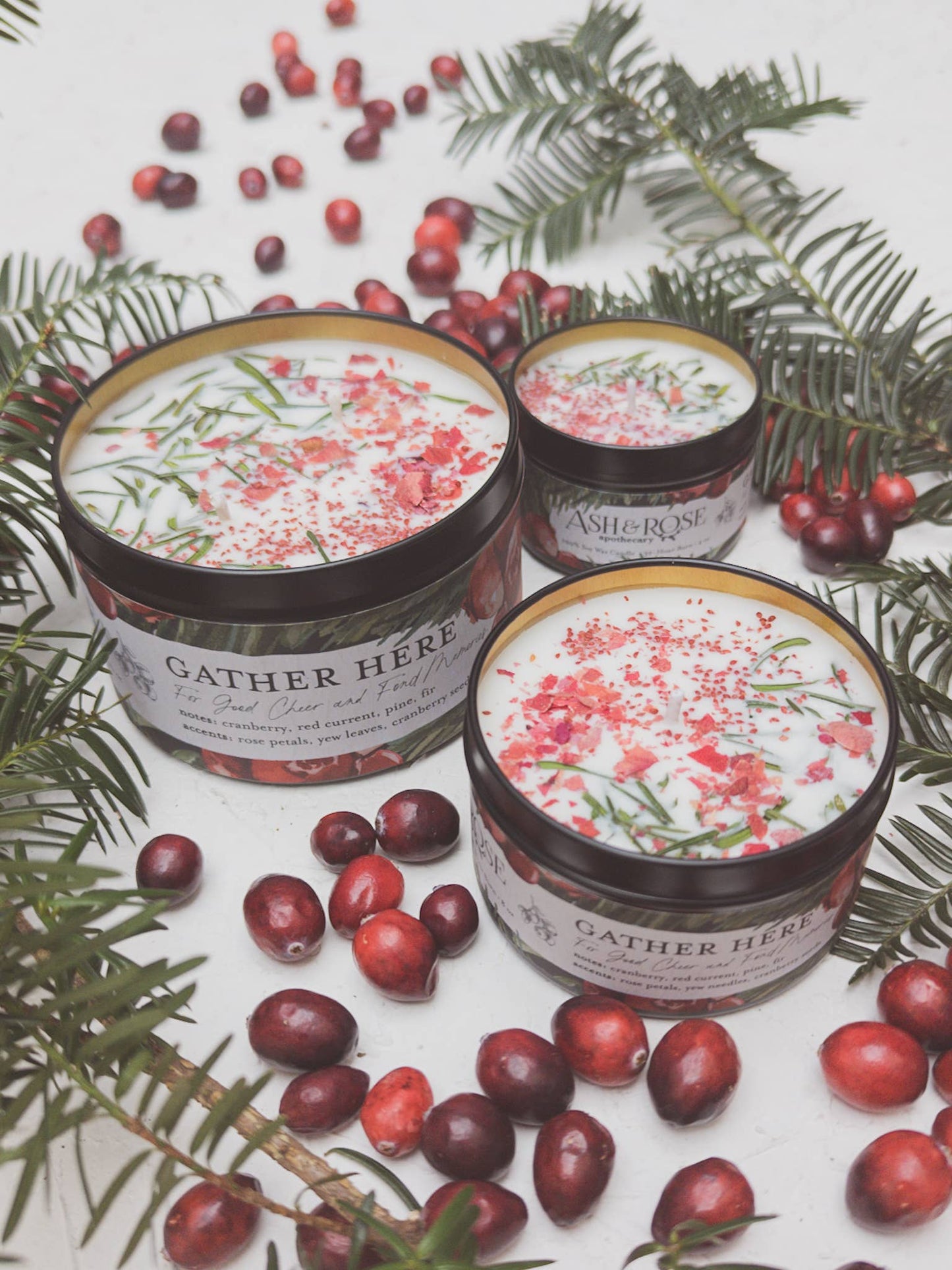 Cranberry Pine SoyCandle 4 oz