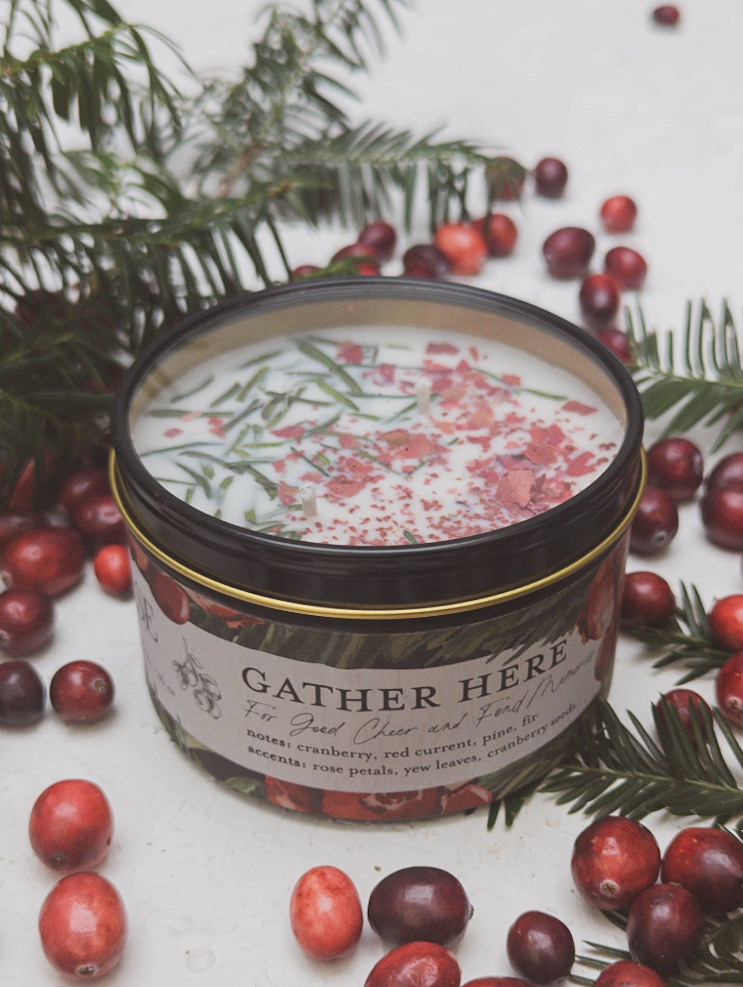 Cranberry Pine SoyCandle 4 oz