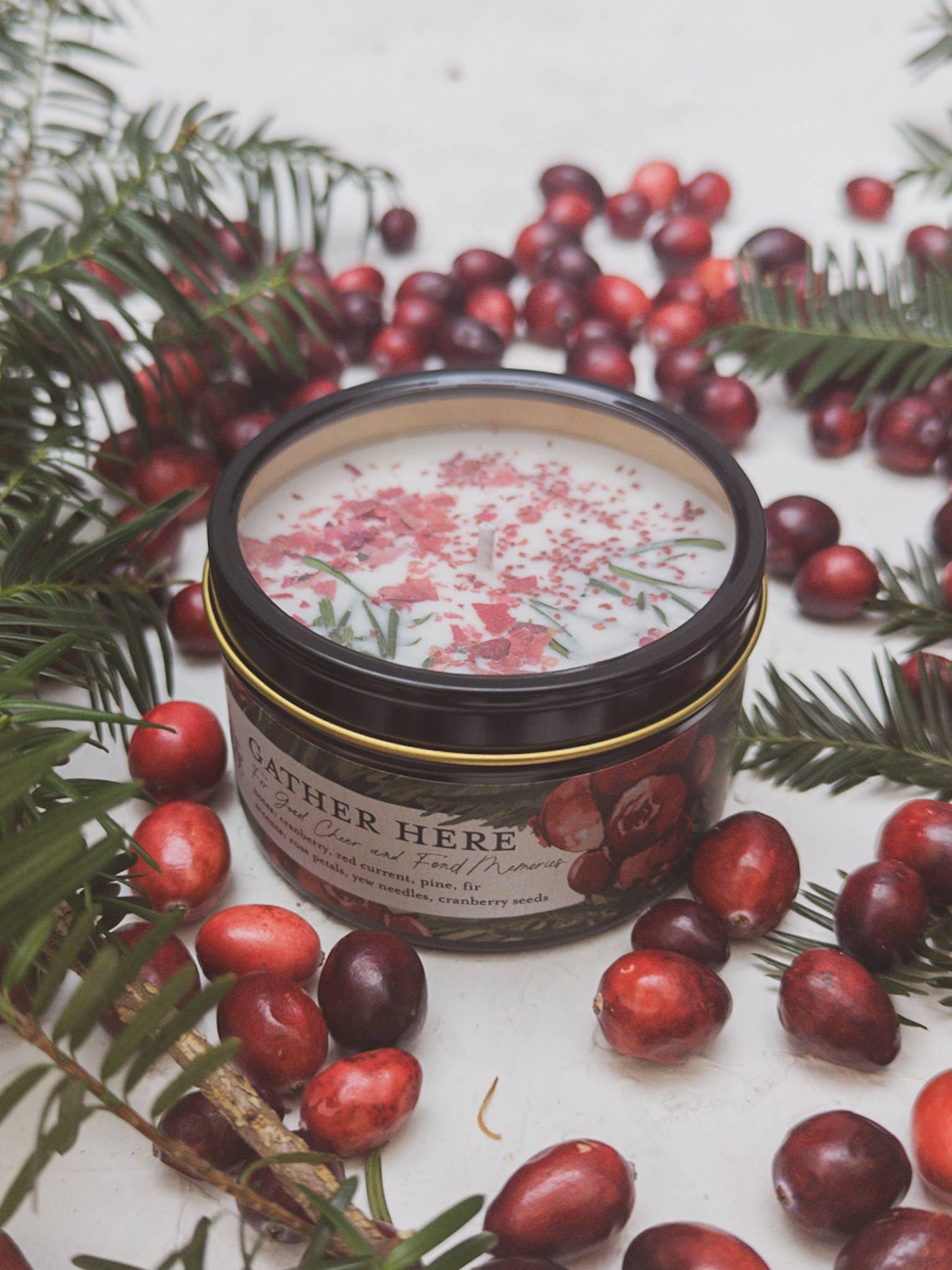 Cranberry Pine SoyCandle 4 oz