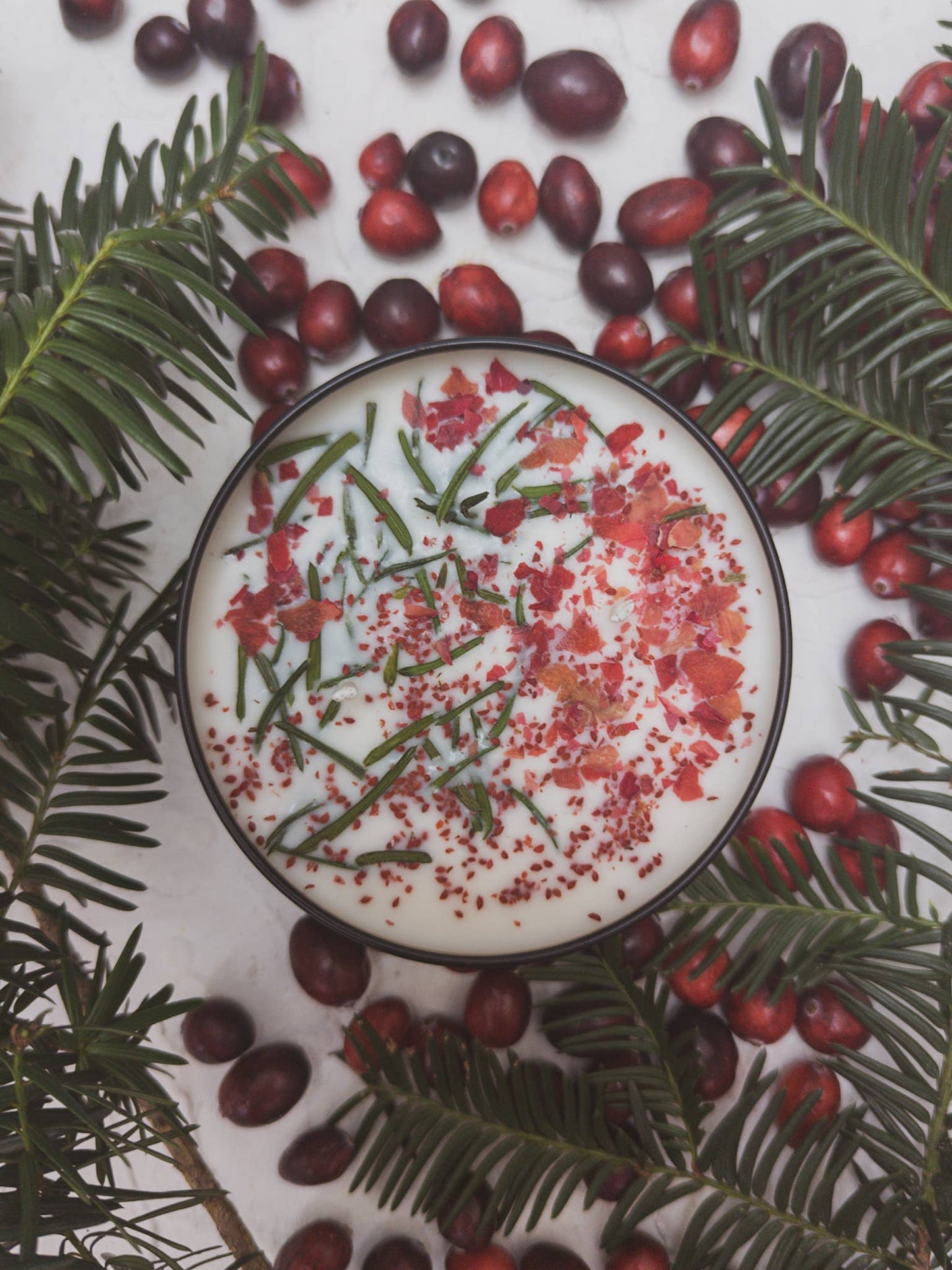 Cranberry Pine SoyCandle 4 oz