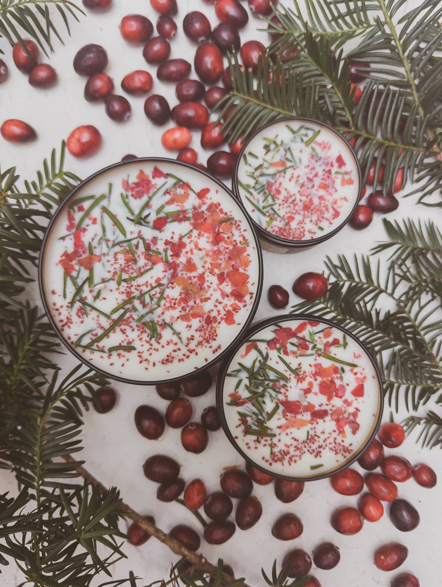 Cranberry Pine SoyCandle 4 oz