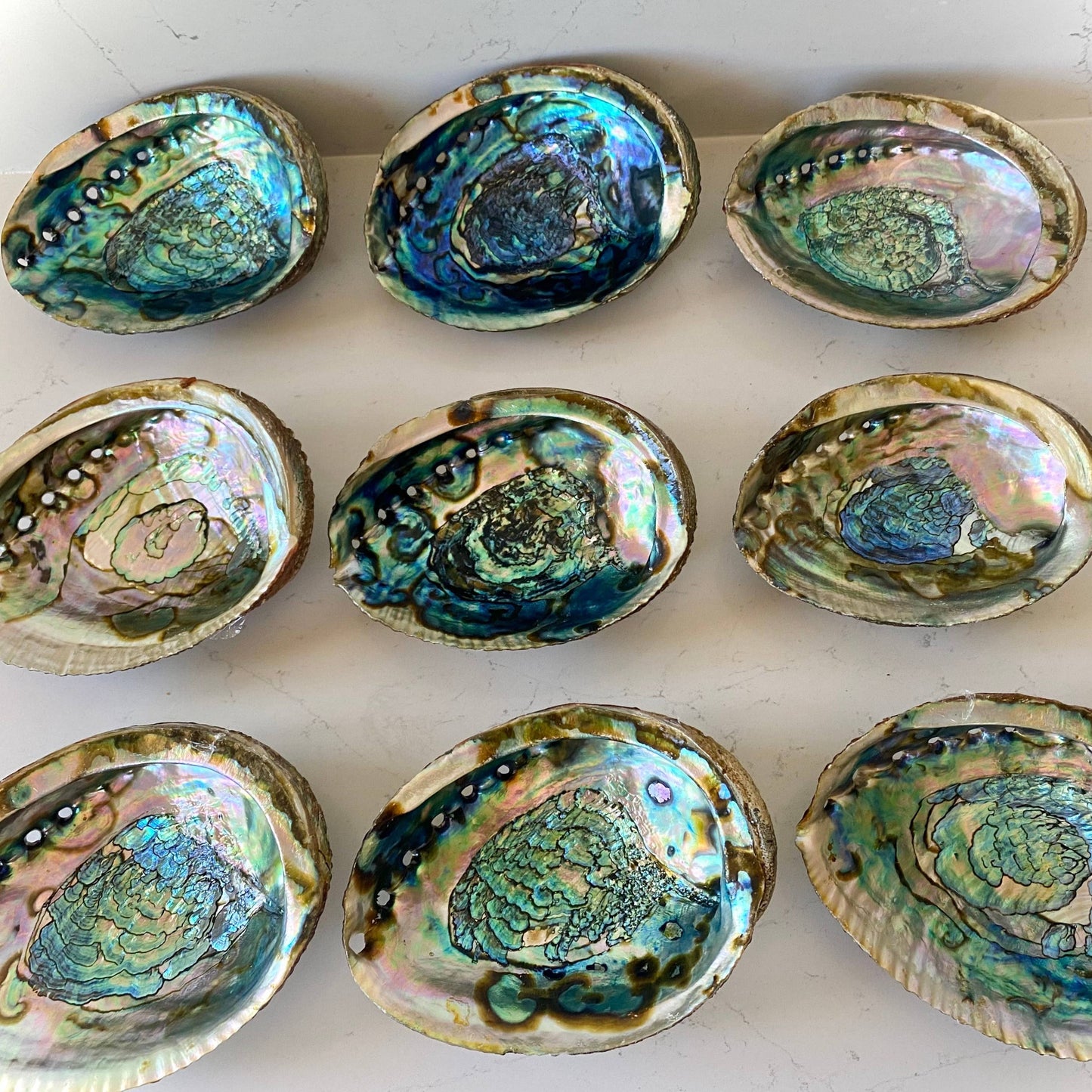 Abalone Shell Smudge Bowls (Large)