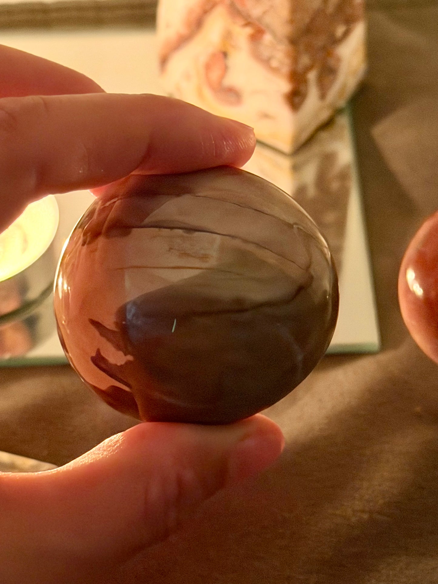 Petrified Wood Palm Stone (Madagascar)￼