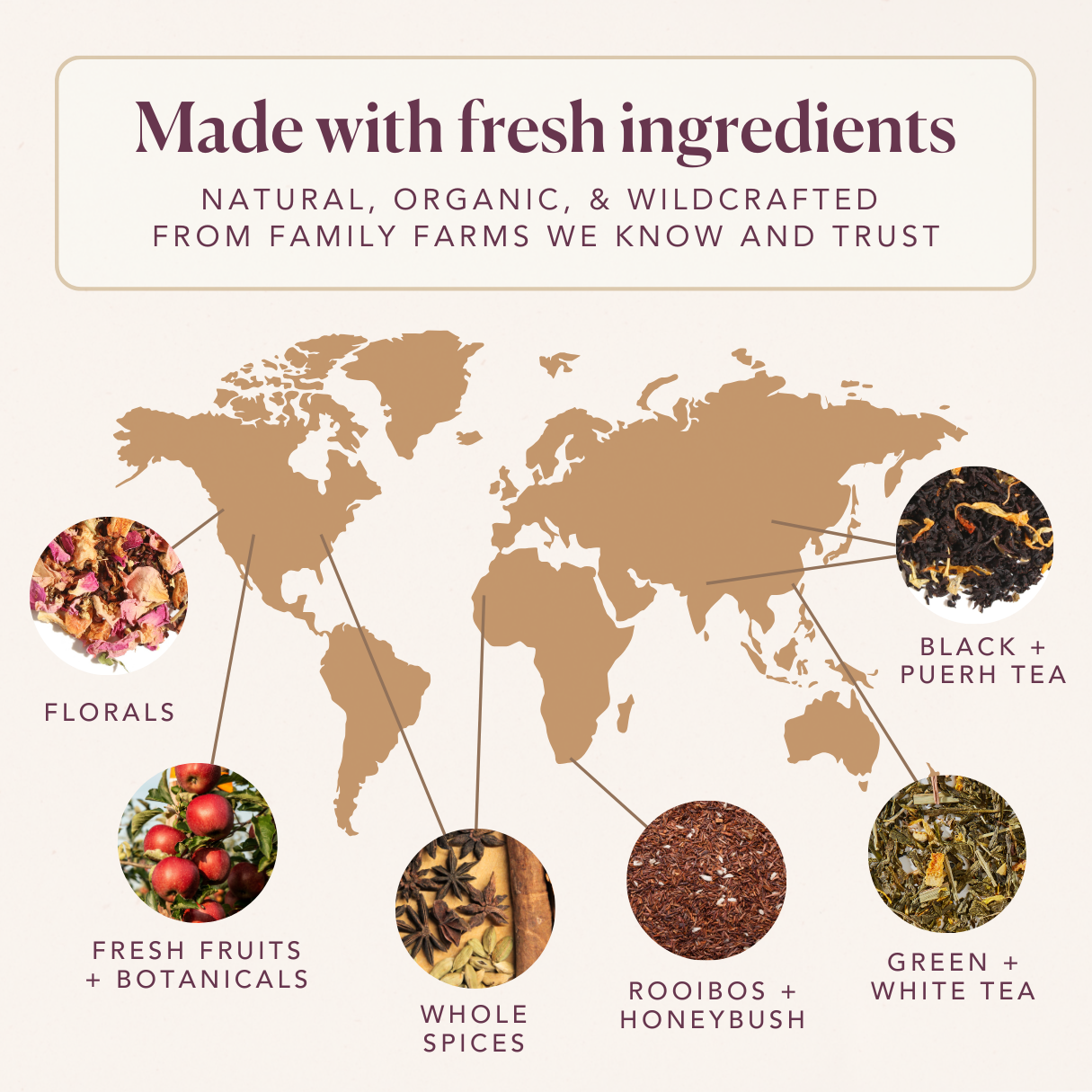 Soul Warmer Herbal Tea | Chestnut Caramel Rooibos Loose Leaf Tea