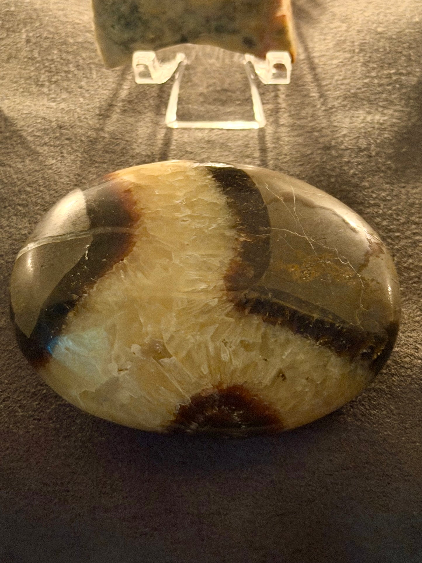 Septarian Palm Stones– Grounding, Strength & Earth Energy