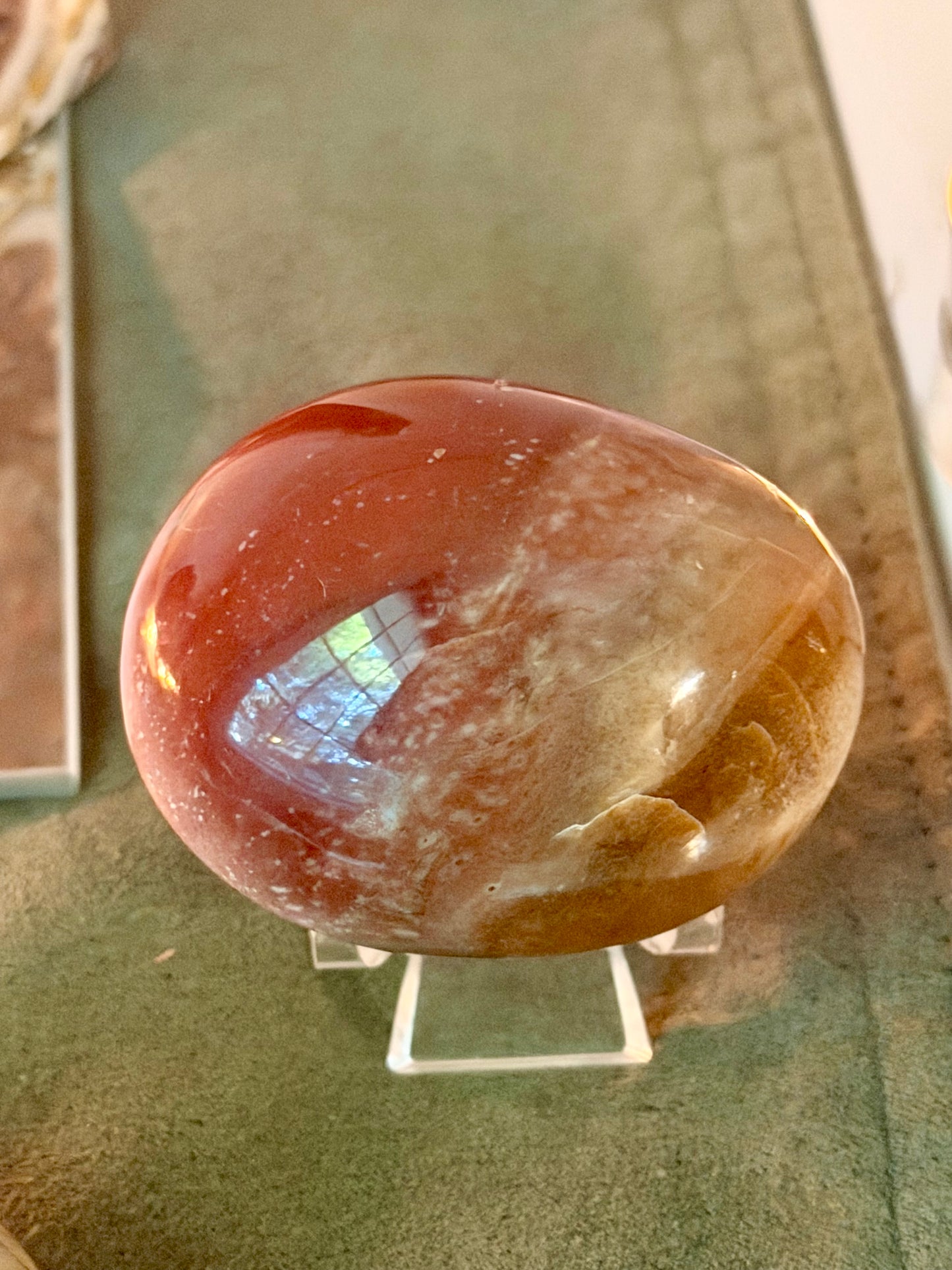 Petrified Wood Palm Stone (Madagascar)￼