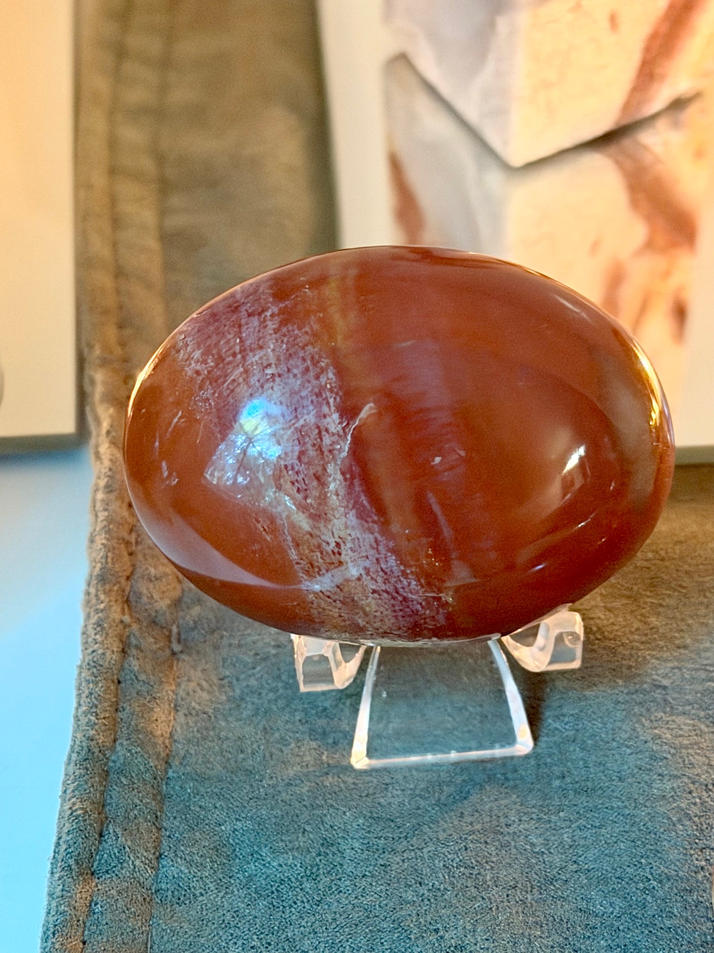 Petrified Wood Palm Stone (Madagascar)￼