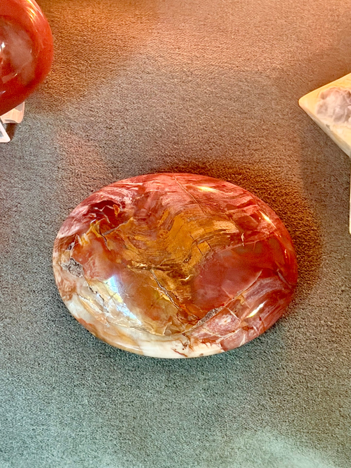Petrified Wood Palm Stone (Madagascar)￼