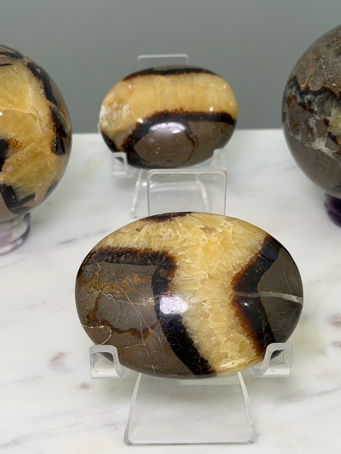 Septarian Palm Stones– Grounding, Strength & Earth Energy
