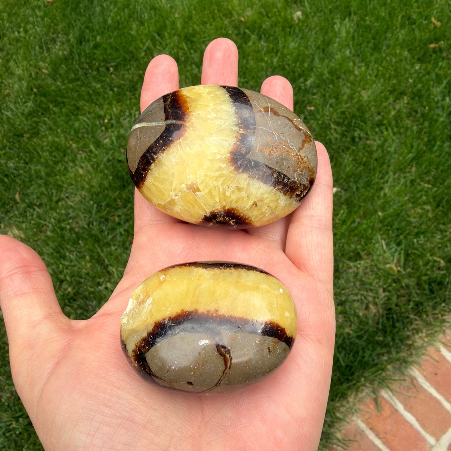 Septarian Palm Stones– Grounding, Strength & Earth Energy