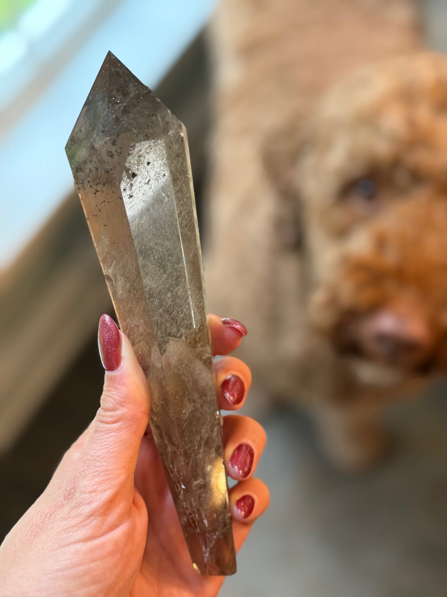 Smoky Quartz Septer w stand