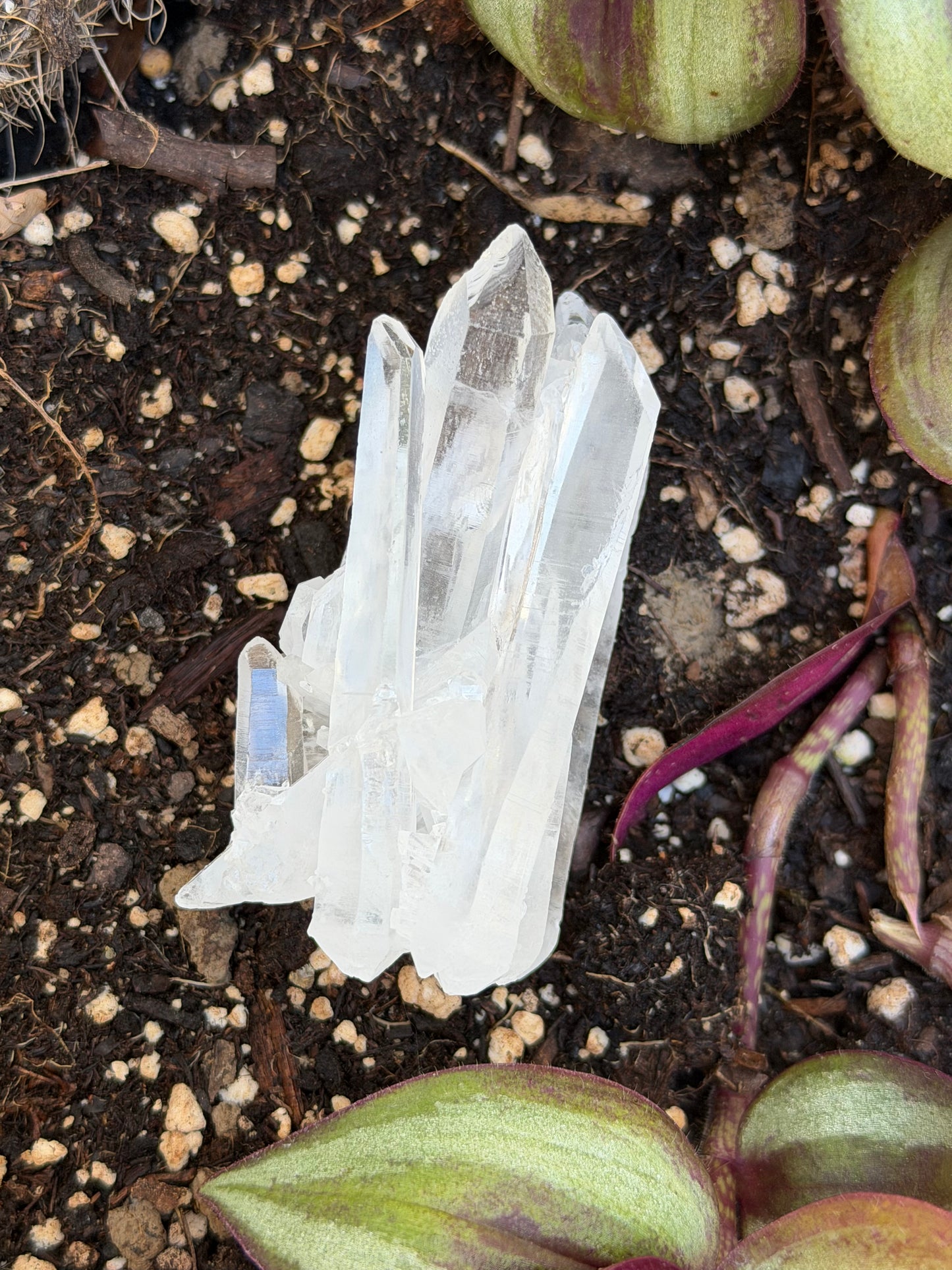 Natural Lemurian Quartz Point