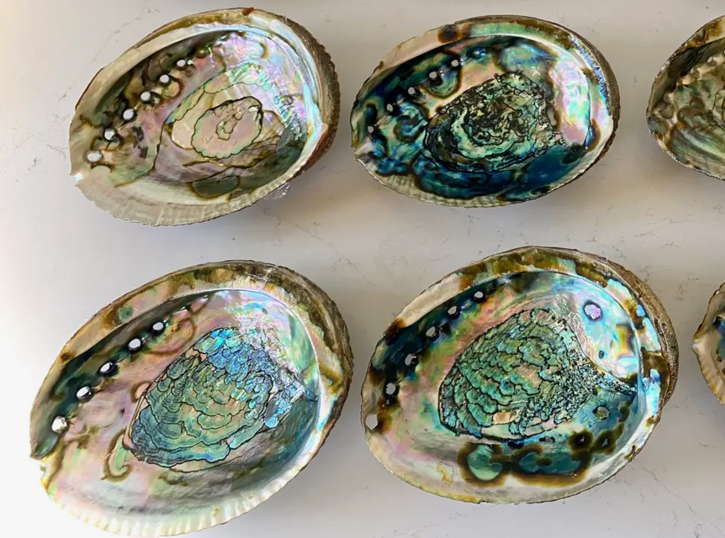 Abalone Shell Smudge Bowls (Medium)