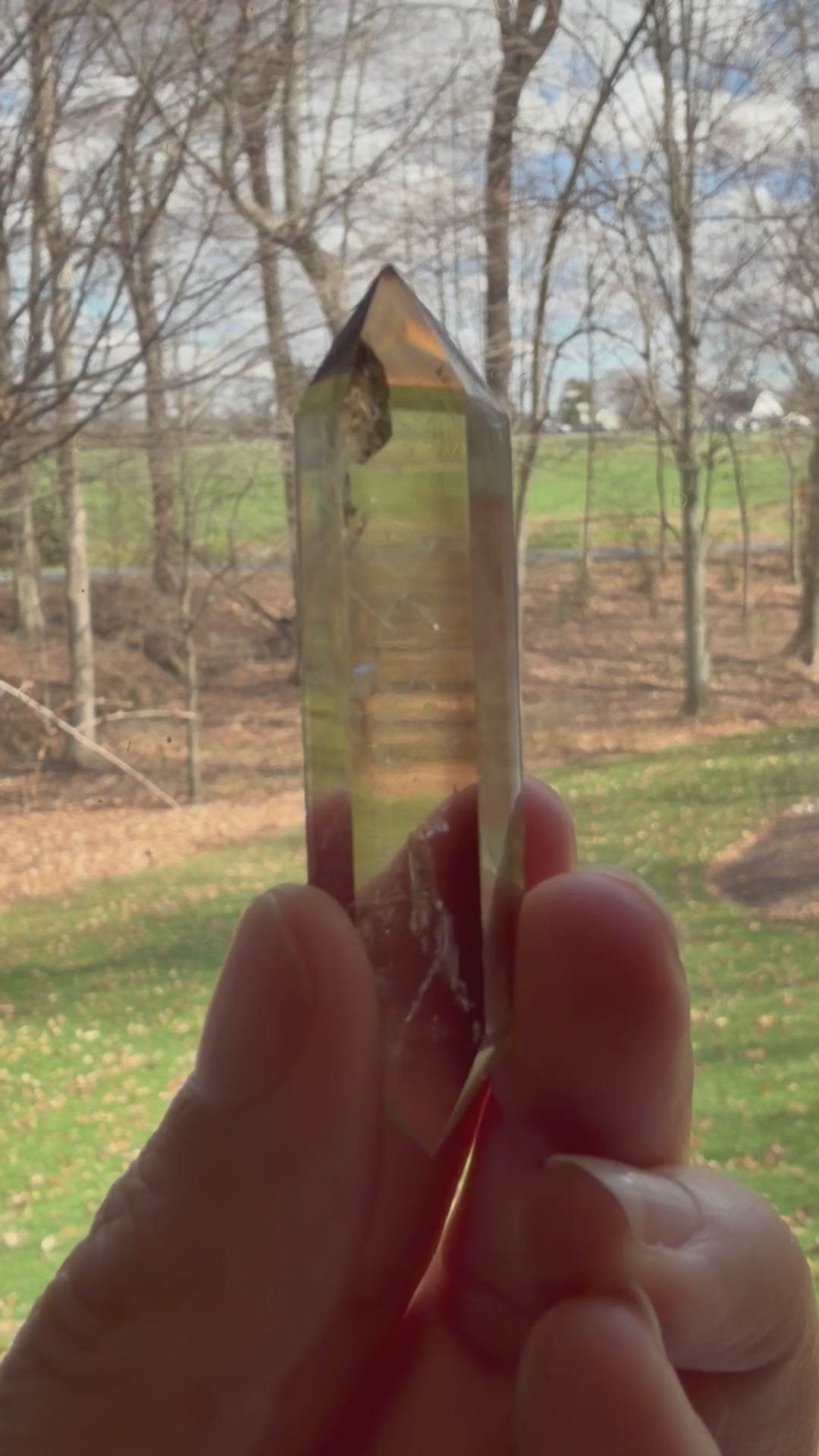 Load and play video in Gallery viewer, Citrine Double Terminated Crystal – Confidence &amp;amp; Energy- NEW ARRIVALS!
