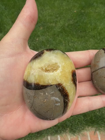 Load and play video in Gallery viewer, Septarian Palm Stones– Grounding, Strength &amp;amp; Earth Energy
