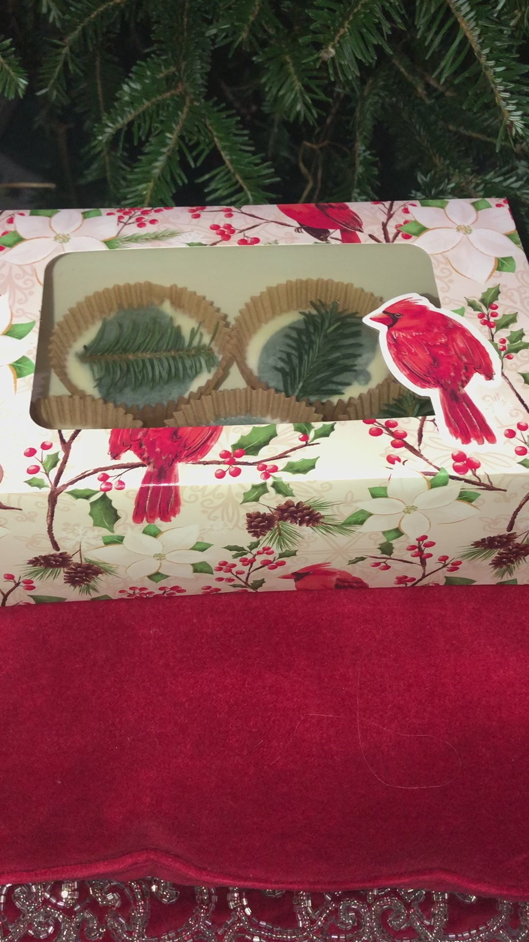 Load and play video in Gallery viewer, Bath Praline- 5 Pack w Pine Branch &amp;amp; Seasonal Ribbon
