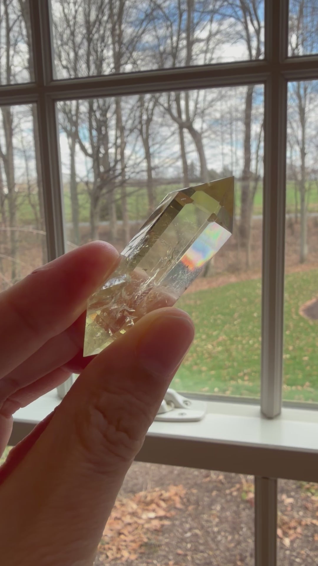 Load and play video in Gallery viewer, Citrine Double Terminated Crystal – Confidence &amp;amp; Energy- NEW ARRIVALS!
